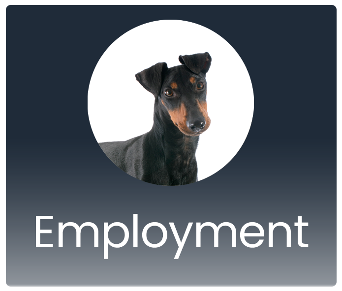 Employment Button