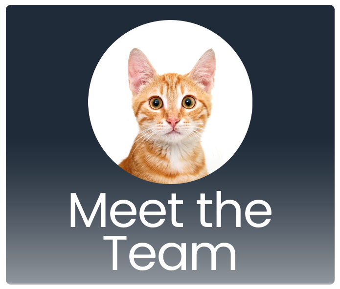 Meet the Team Button